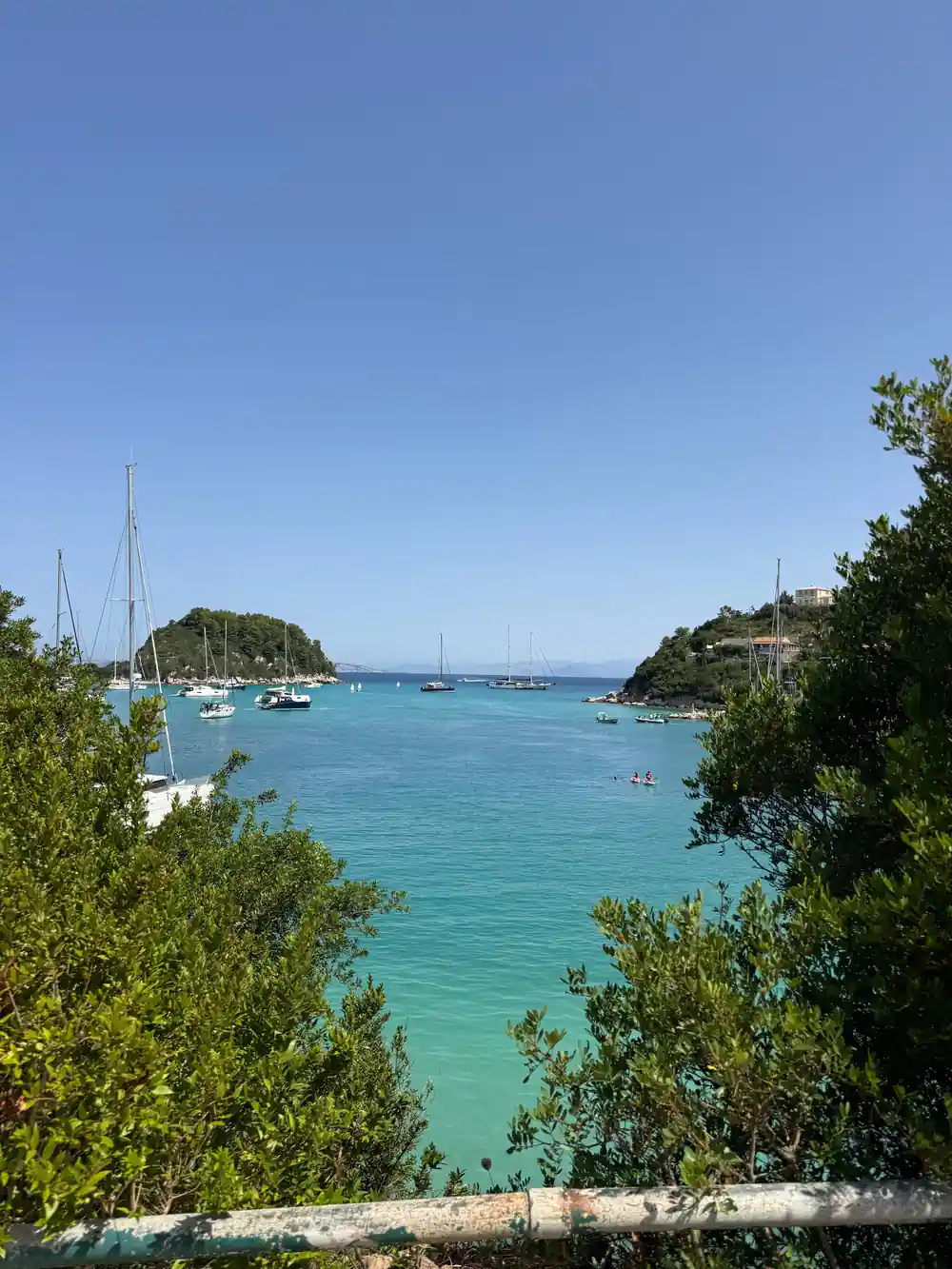 the bay seen through foliage, masts and green headland beyond
