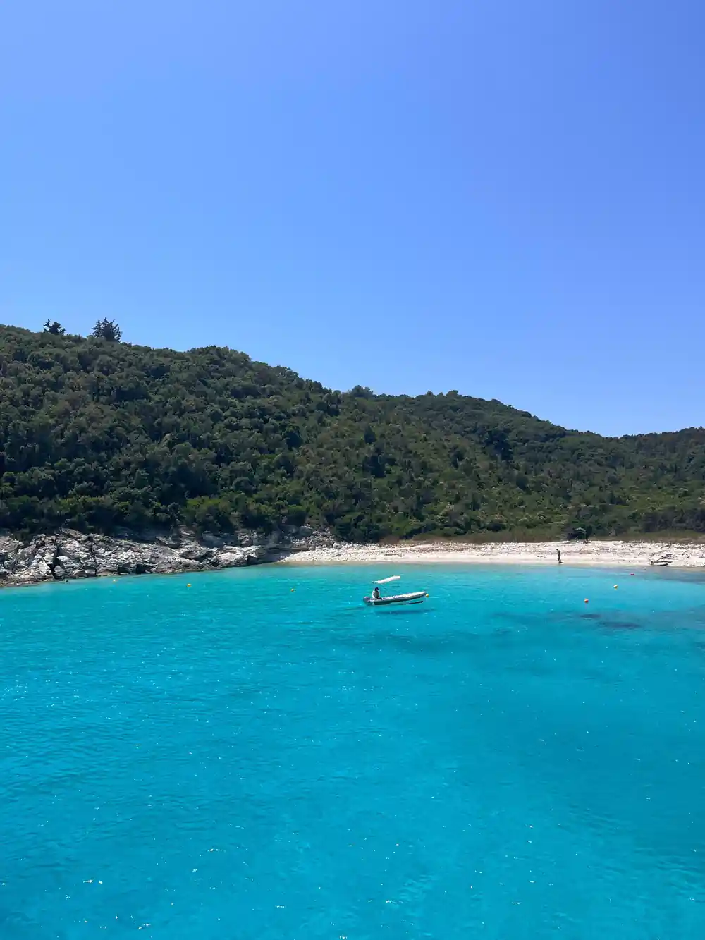a small boat off a pale beach backed by dense green hillside