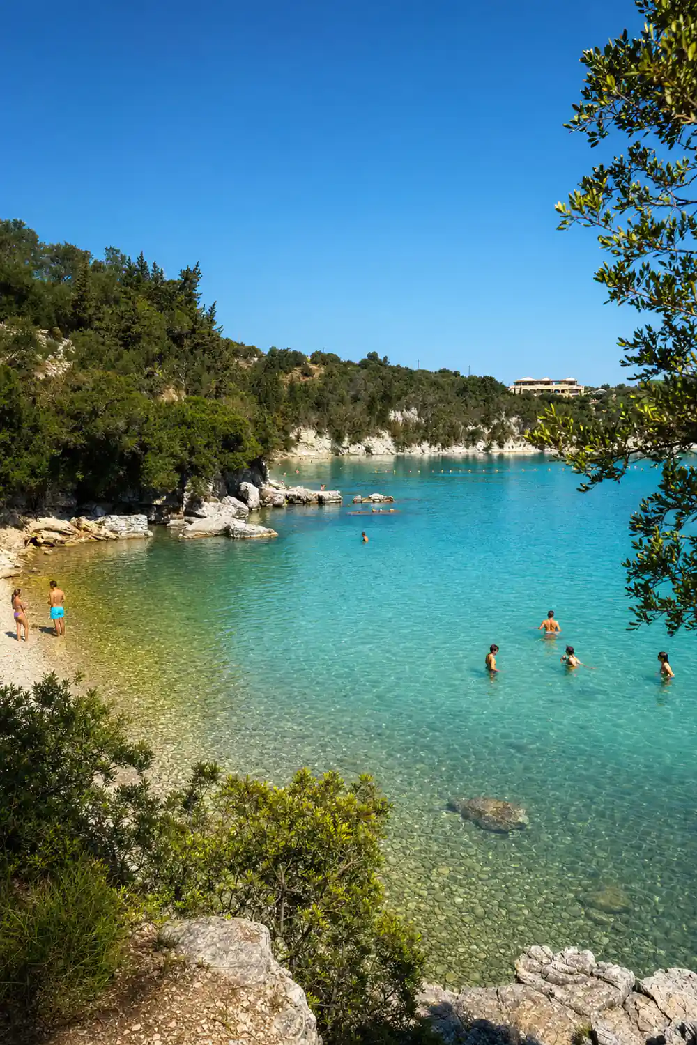 a small cove with swimmers, pines coming down to pale rock