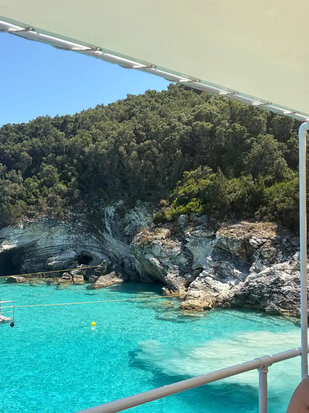 a wooded shoreline with a swimming area marked off in the clear shallows