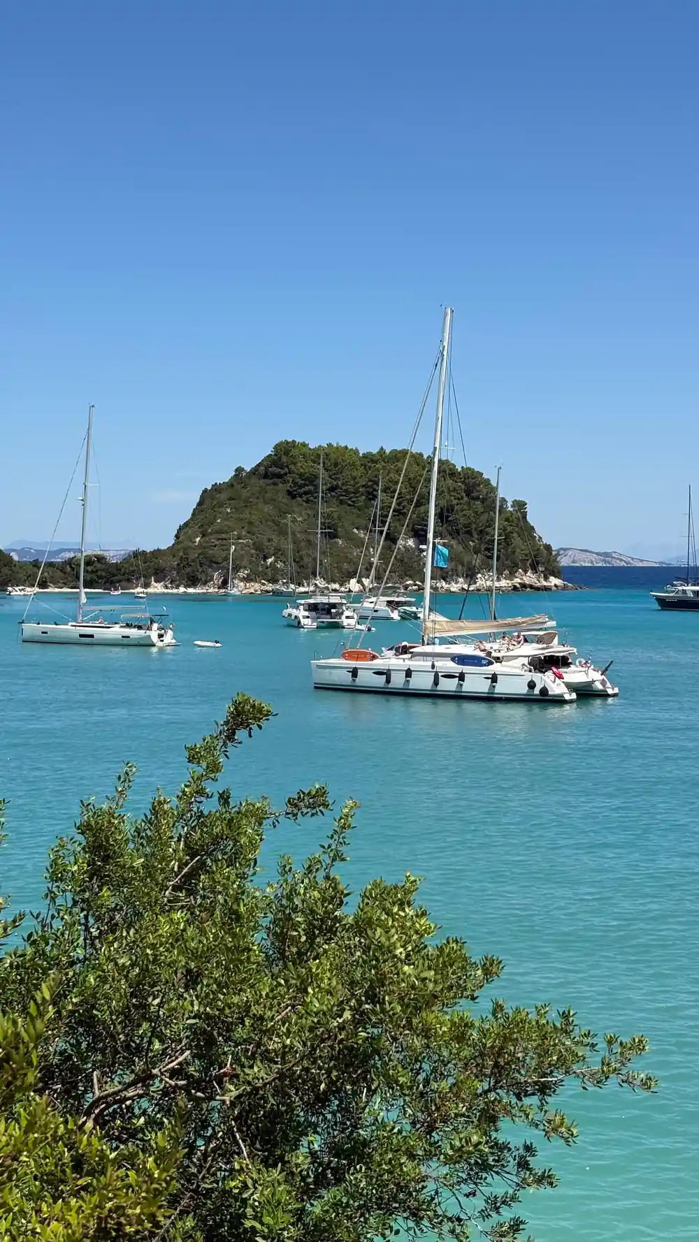 yachts at anchor around a wooded islet in the bay